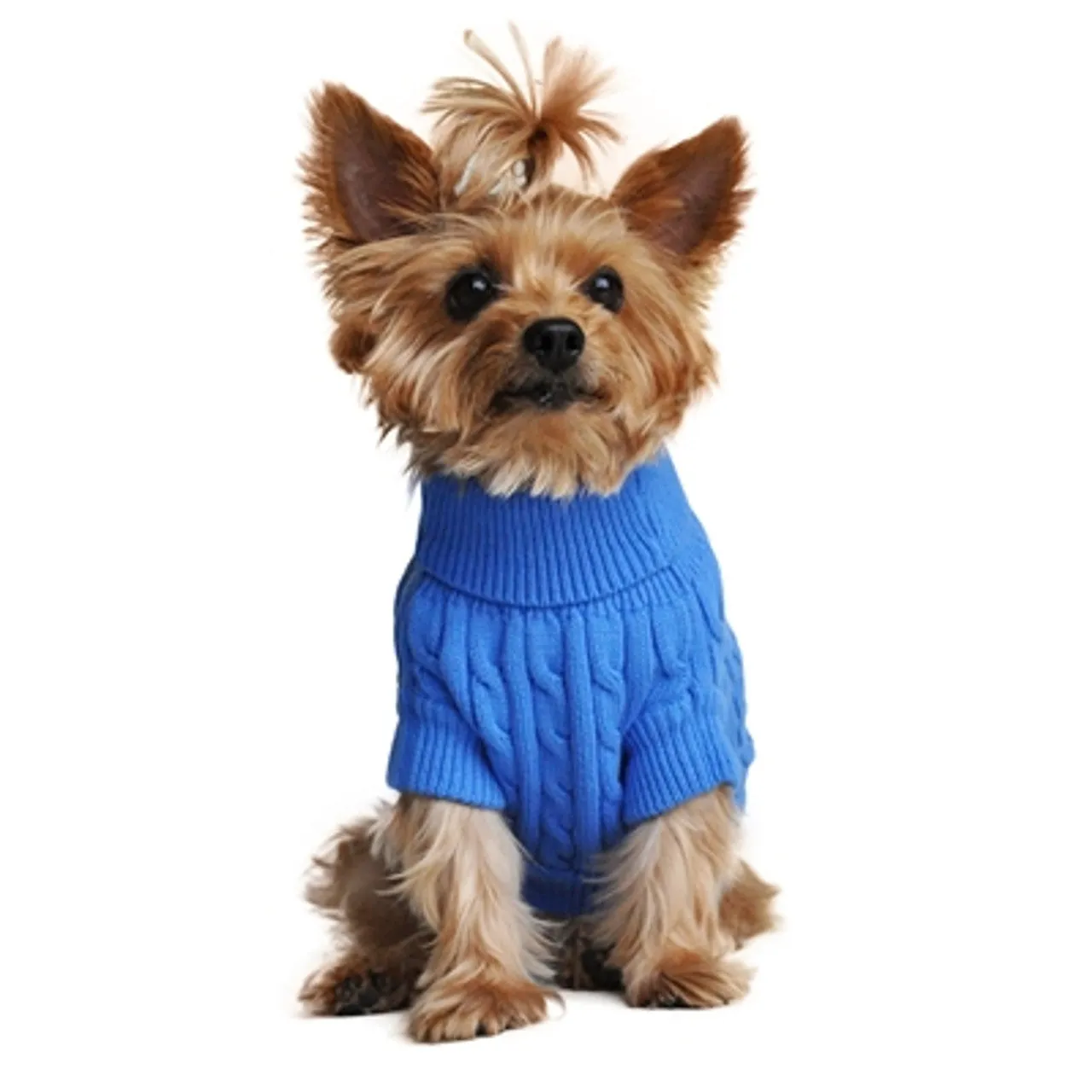 Get ready for the colder months with our classic Cable Knit Sweaters for dogs - perfect for fall and winter!