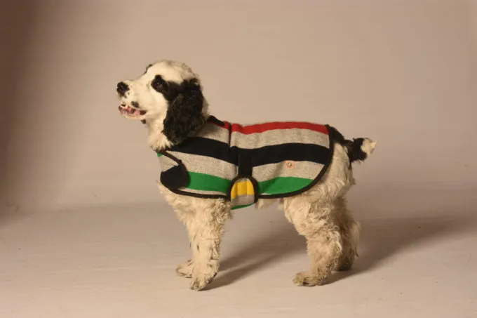 Grey Stripe Dog Blanket Coat