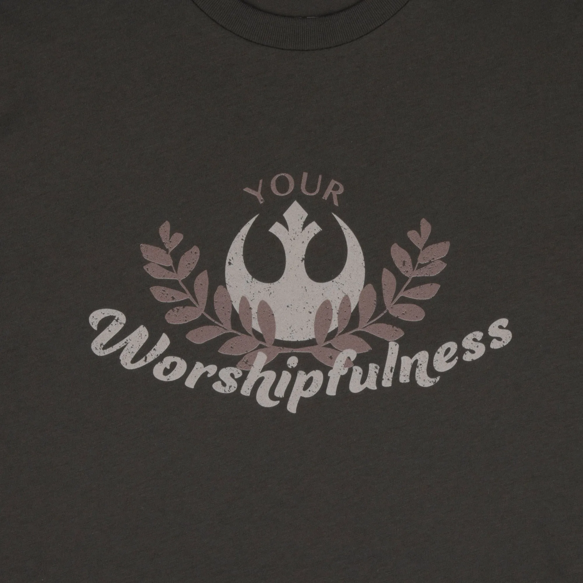 Leia Your Worshipfulness Cropped Charcoal Tee