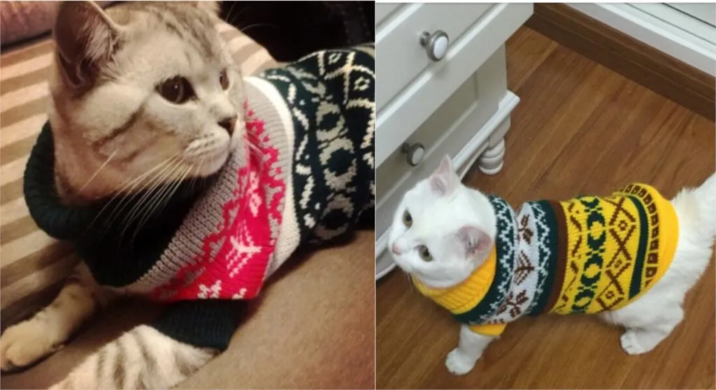Petalk Snowflake Sphinx Sweaters - Cozy & Stylish Sweaters for Cats!