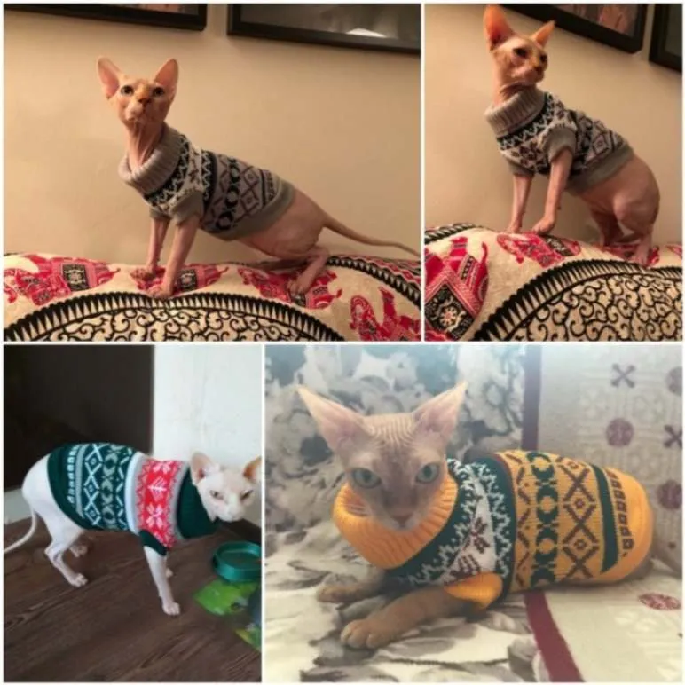 Petalk Snowflake Sphinx Sweaters - Cozy & Stylish Sweaters for Cats!