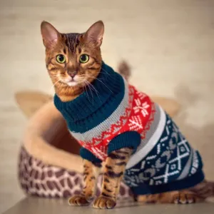 Petalk Snowflake Sphinx Sweaters - Cozy & Stylish Sweaters for Cats!