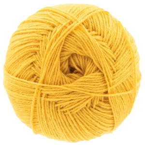Scheepjes Arcadia Yarn - 804 Steppe
