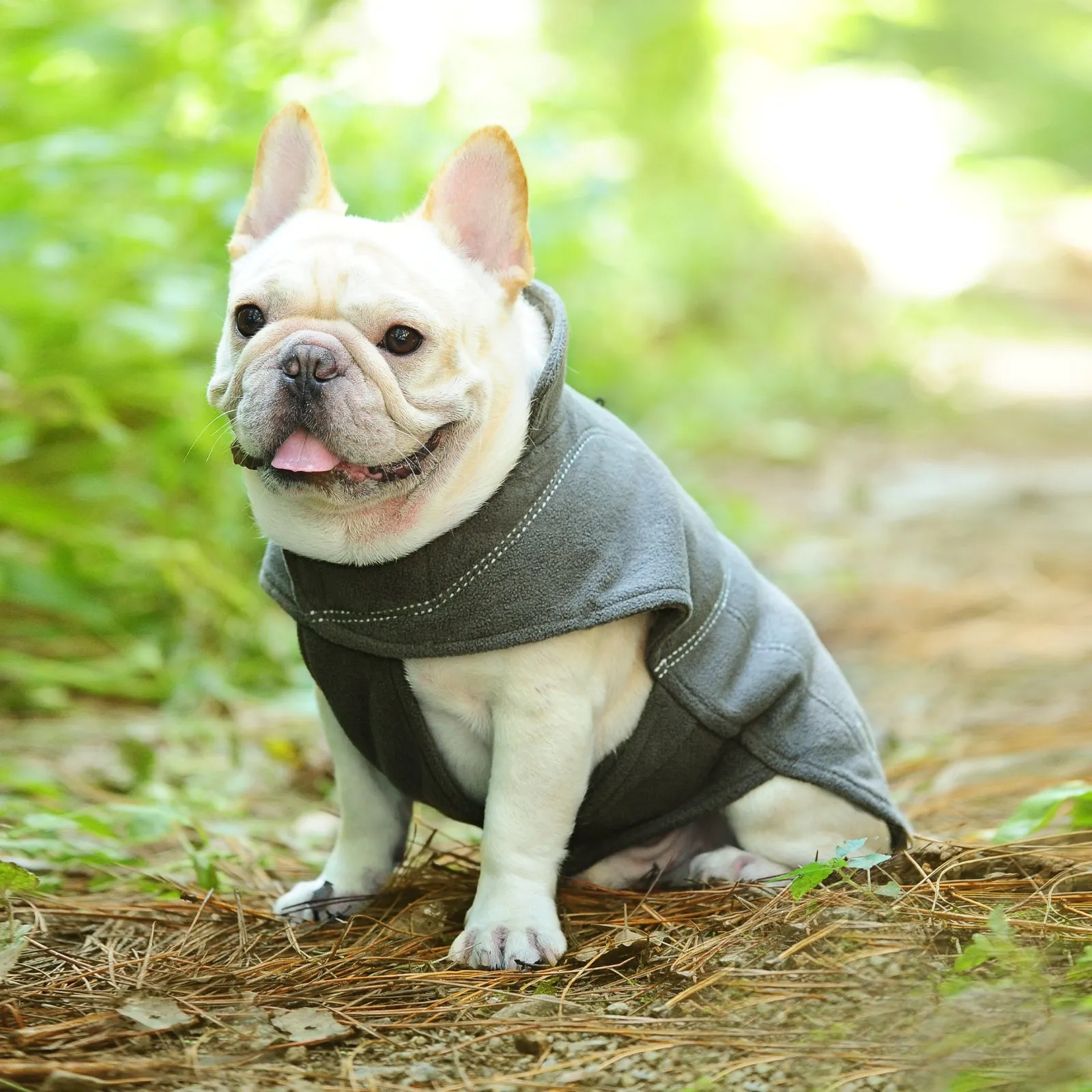 Vivaglory Fleece Vest Dog Cold Weather Sweater for Small Dogs, Adjustable Winter Warm Clothes with Two-Way Zipper Opening, Reflective Coats Pet Jacket for Puppies Small Medium Large Dogs