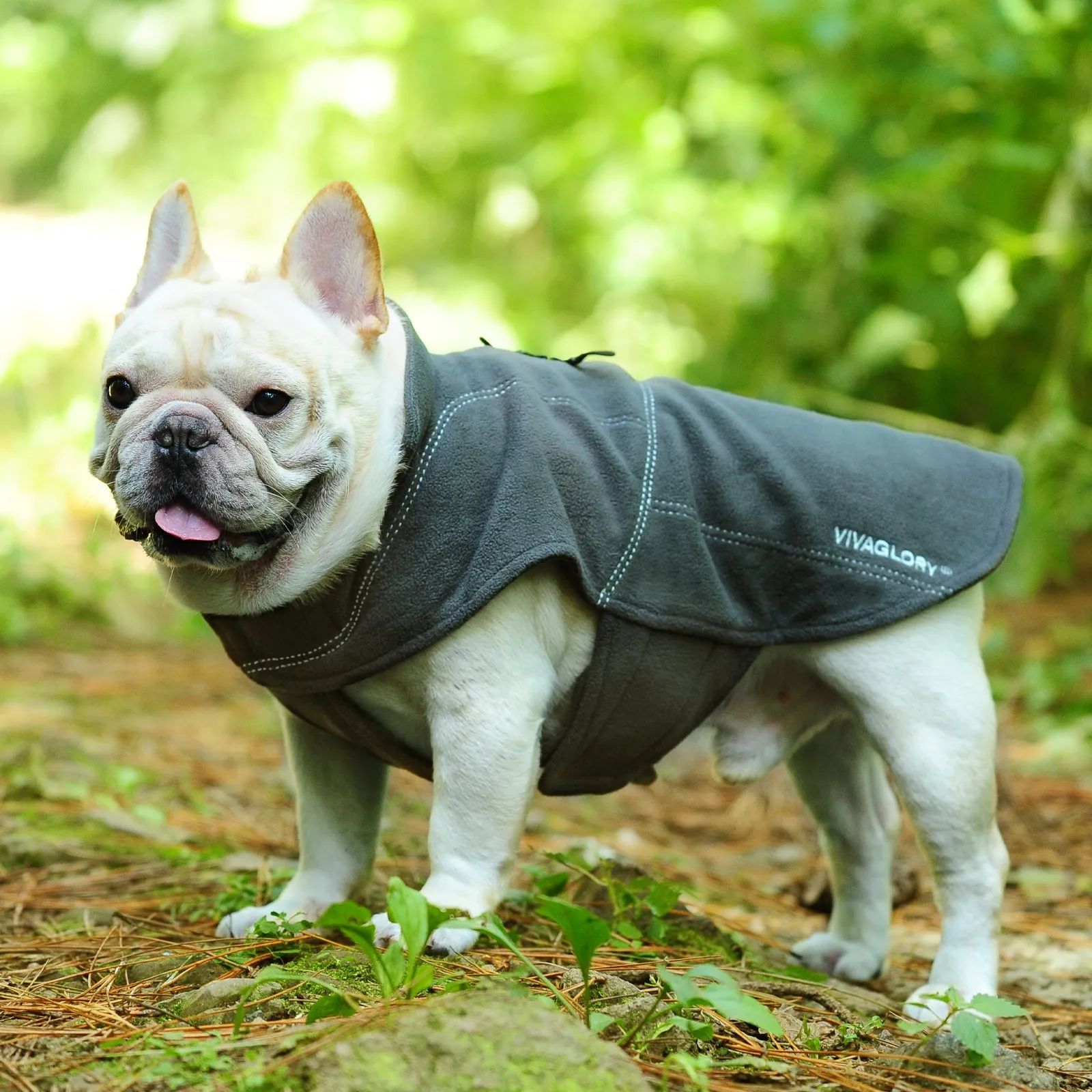 Vivaglory Fleece Vest Dog Cold Weather Sweater for Small Dogs, Adjustable Winter Warm Clothes with Two-Way Zipper Opening, Reflective Coats Pet Jacket for Puppies Small Medium Large Dogs