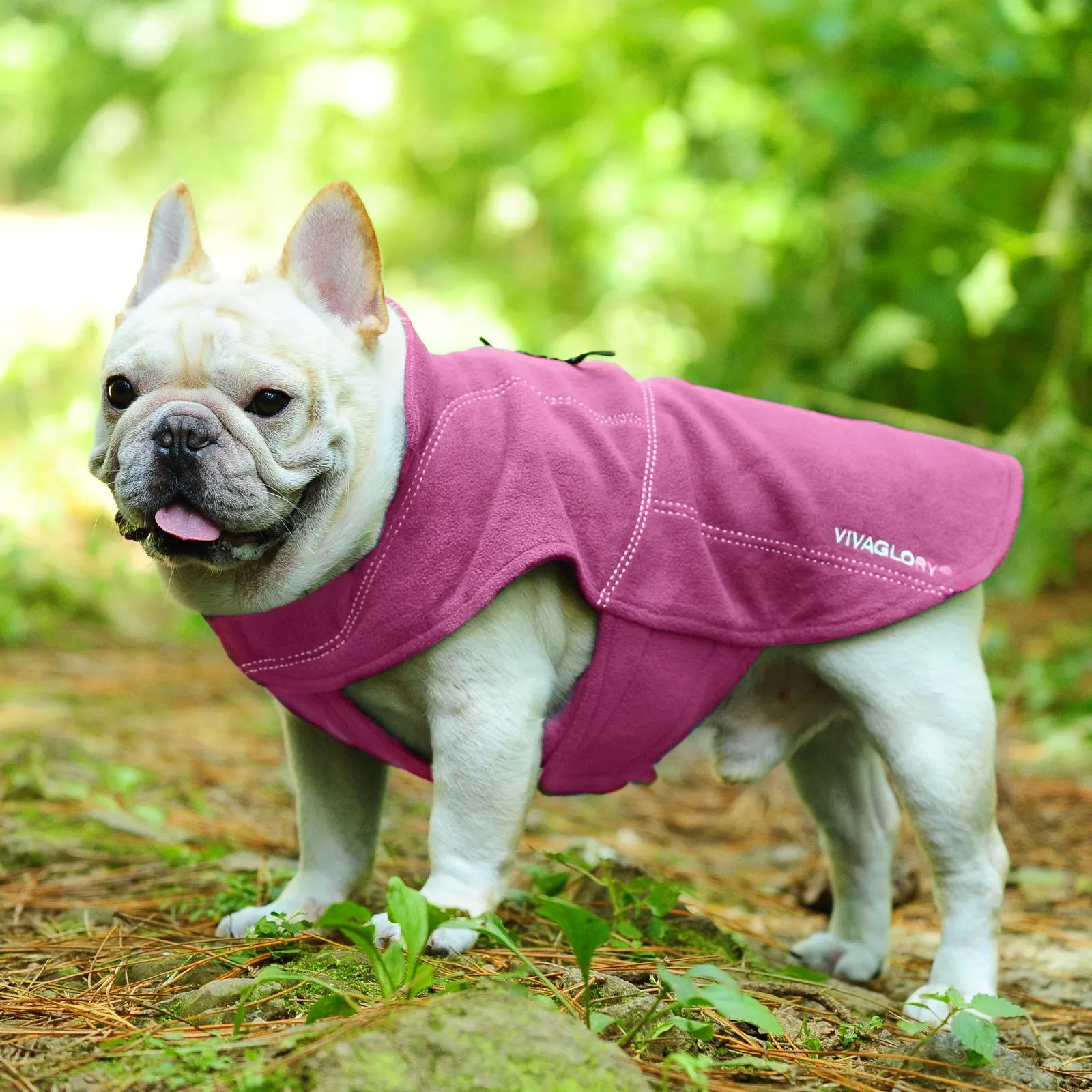 Vivaglory Fleece Vest Dog Cold Weather Sweater for Small Dogs, Adjustable Winter Warm Clothes with Two-Way Zipper Opening, Reflective Coats Pet Jacket for Puppies Small Medium Large Dogs