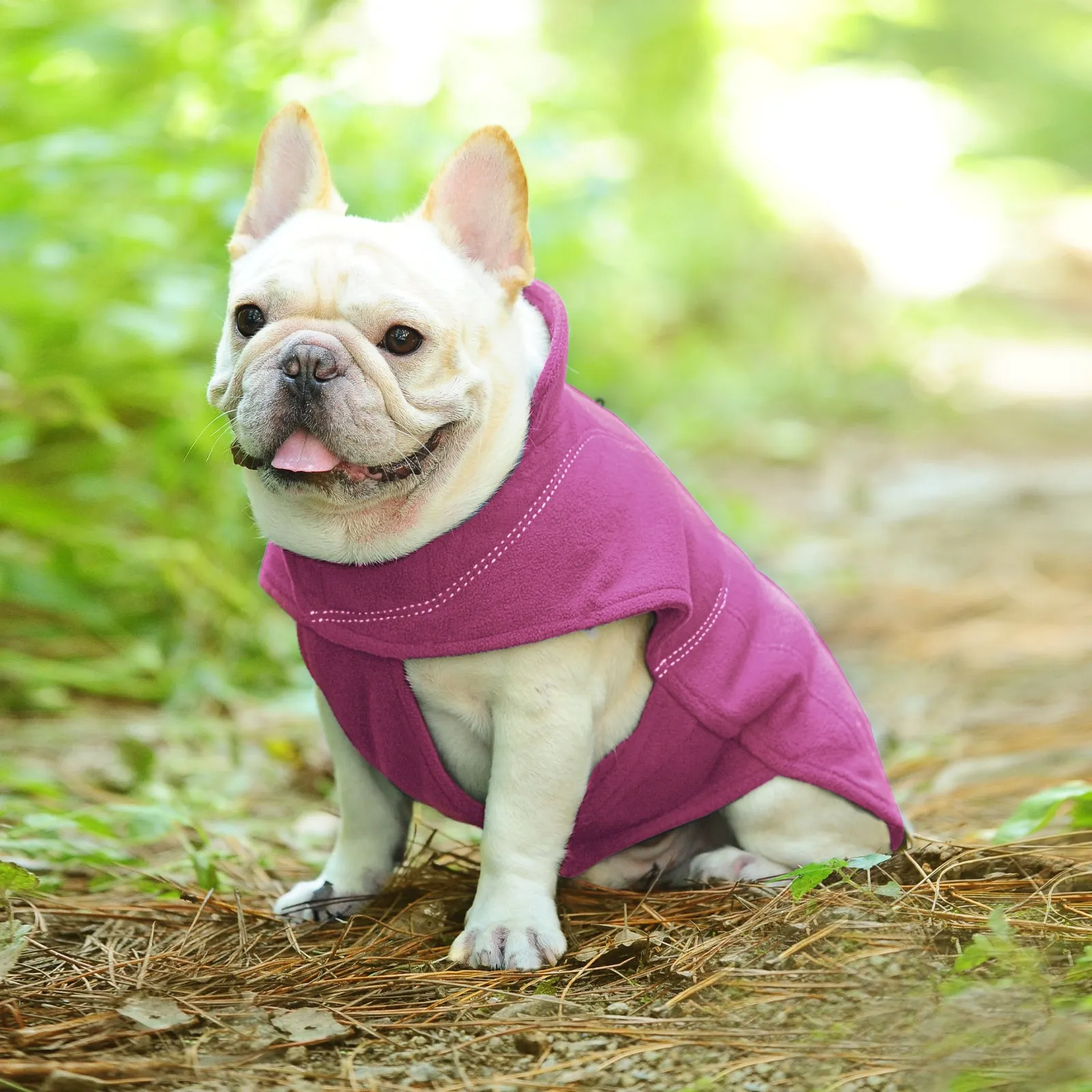 Vivaglory Fleece Vest Dog Cold Weather Sweater for Small Dogs, Adjustable Winter Warm Clothes with Two-Way Zipper Opening, Reflective Coats Pet Jacket for Puppies Small Medium Large Dogs