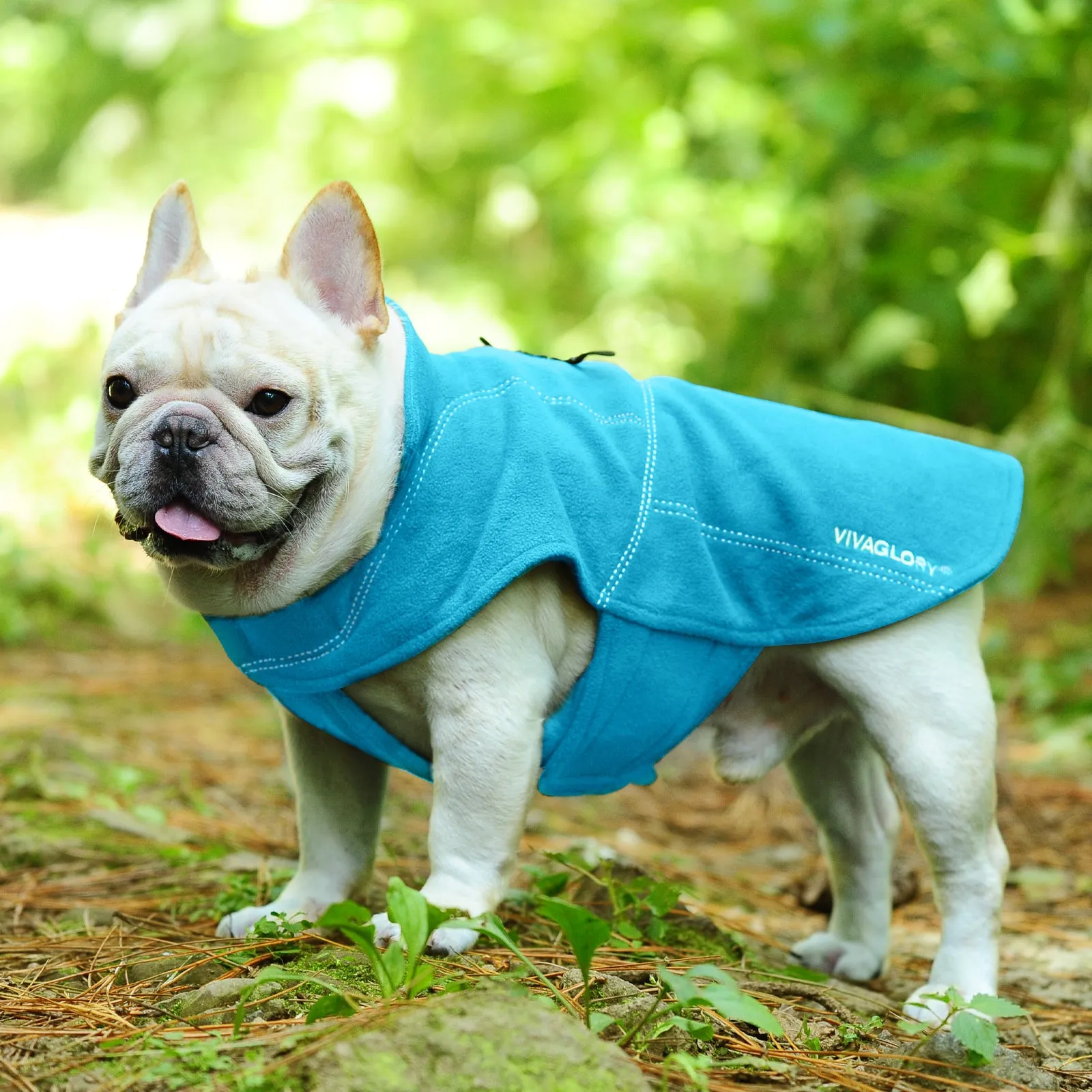 Vivaglory Fleece Vest Dog Cold Weather Sweater for Small Dogs, Adjustable Winter Warm Clothes with Two-Way Zipper Opening, Reflective Coats Pet Jacket for Puppies Small Medium Large Dogs