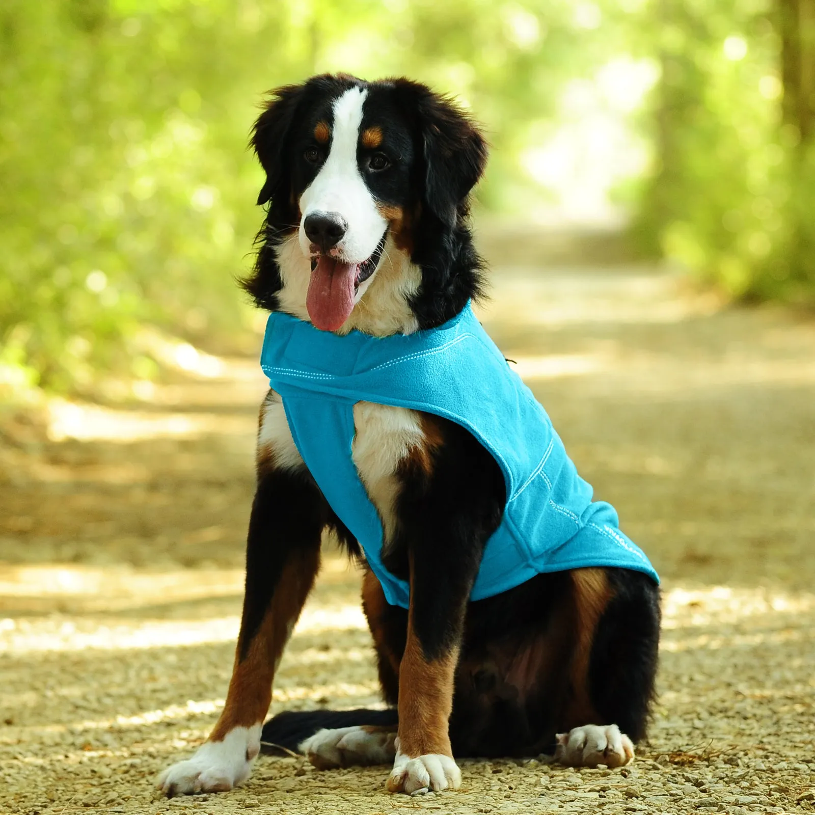Vivaglory Fleece Vest Dog Cold Weather Sweater for Small Dogs, Adjustable Winter Warm Clothes with Two-Way Zipper Opening, Reflective Coats Pet Jacket for Puppies Small Medium Large Dogs