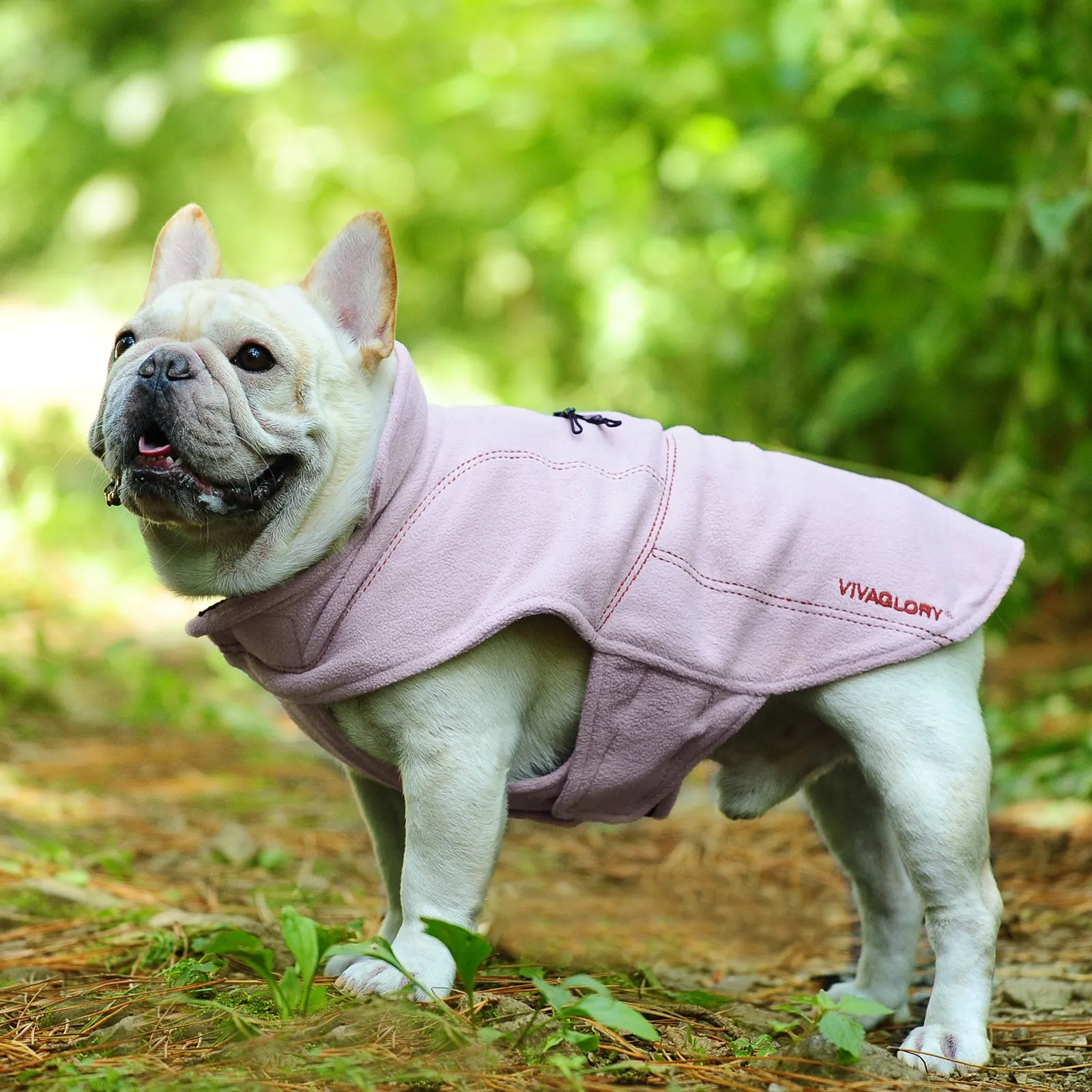 Vivaglory Fleece Vest Dog Cold Weather Sweater for Small Dogs, Adjustable Winter Warm Clothes with Two-Way Zipper Opening, Reflective Coats Pet Jacket for Puppies Small Medium Large Dogs