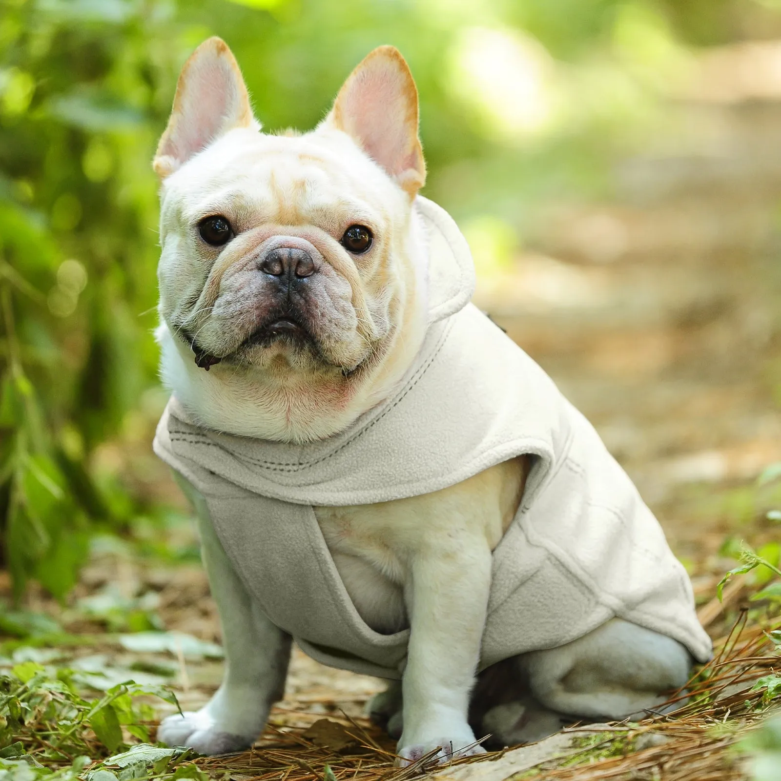 Vivaglory Fleece Vest Dog Cold Weather Sweater for Small Dogs, Adjustable Winter Warm Clothes with Two-Way Zipper Opening, Reflective Coats Pet Jacket for Puppies Small Medium Large Dogs