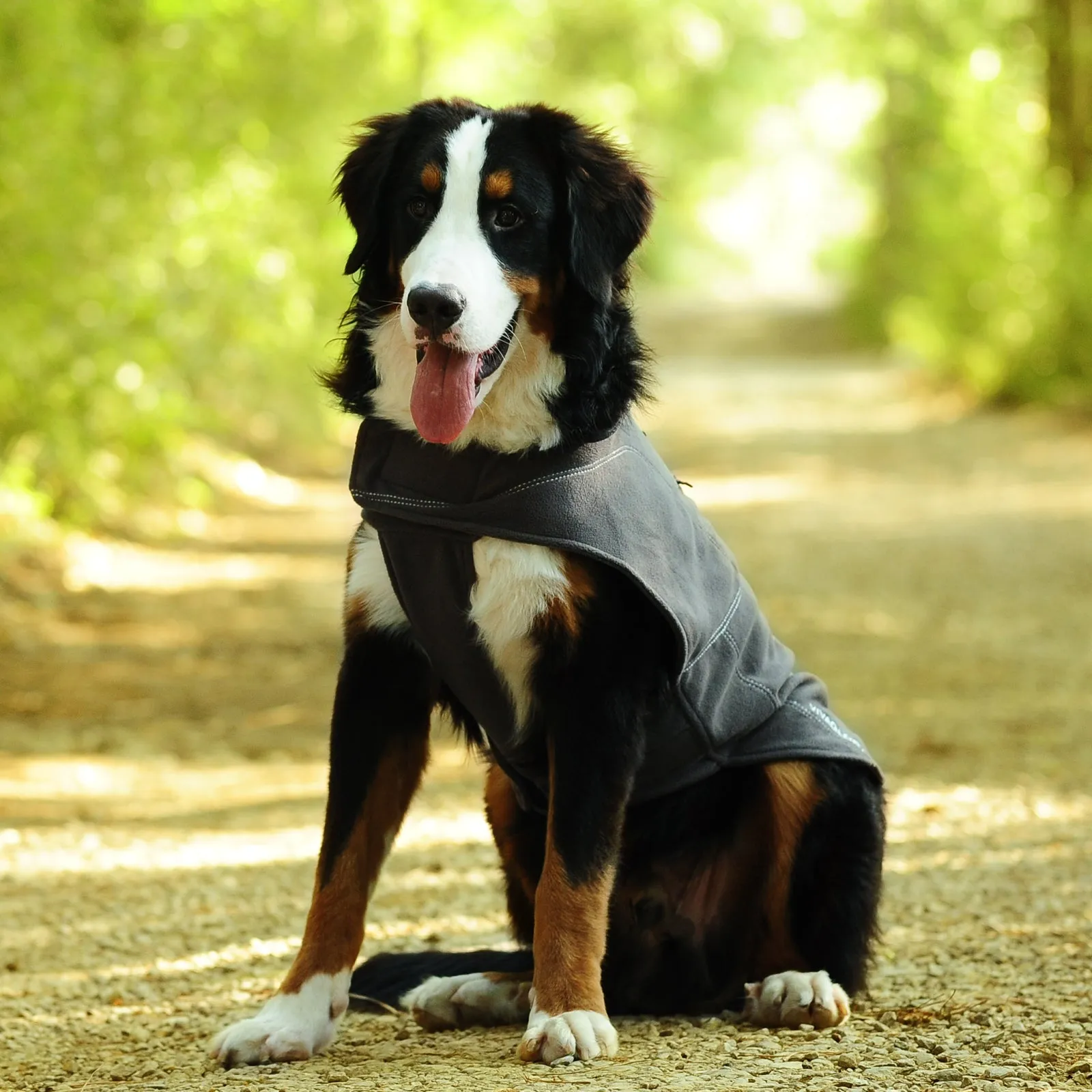 Vivaglory Fleece Vest Dog Cold Weather Sweater for Small Dogs, Adjustable Winter Warm Clothes with Two-Way Zipper Opening, Reflective Coats Pet Jacket for Puppies Small Medium Large Dogs