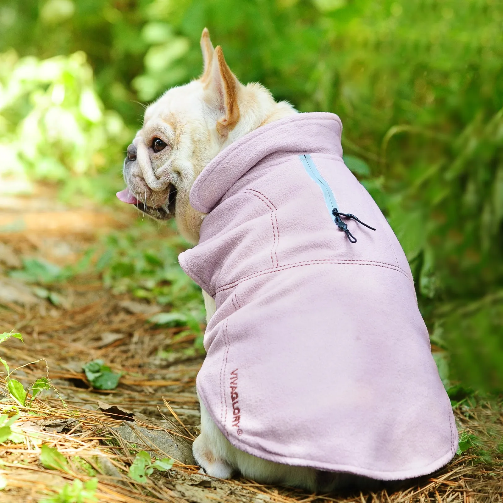 Vivaglory Fleece Vest Dog Cold Weather Sweater for Small Dogs, Adjustable Winter Warm Clothes with Two-Way Zipper Opening, Reflective Coats Pet Jacket for Puppies Small Medium Large Dogs