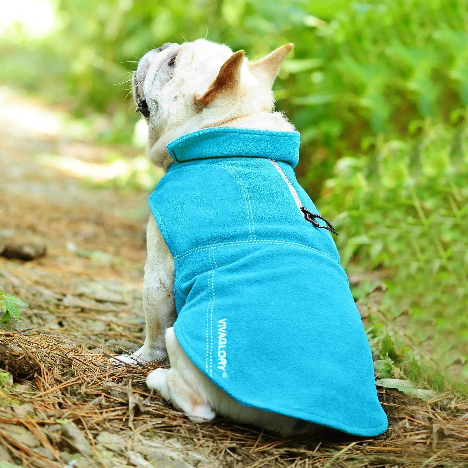 Vivaglory Fleece Vest Dog Cold Weather Sweater for Small Dogs, Adjustable Winter Warm Clothes with Two-Way Zipper Opening, Reflective Coats Pet Jacket for Puppies Small Medium Large Dogs