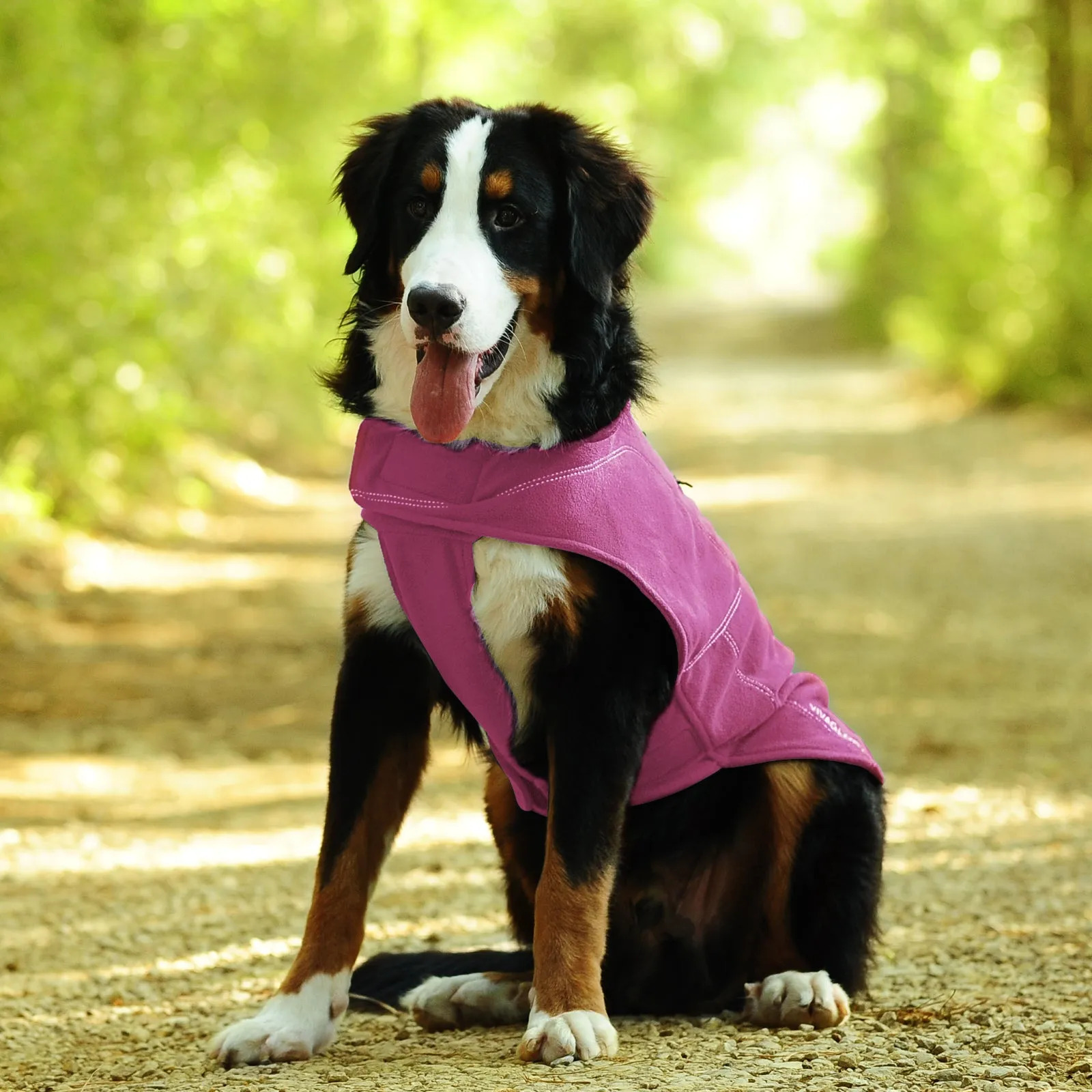 Vivaglory Fleece Vest Dog Cold Weather Sweater for Small Dogs, Adjustable Winter Warm Clothes with Two-Way Zipper Opening, Reflective Coats Pet Jacket for Puppies Small Medium Large Dogs