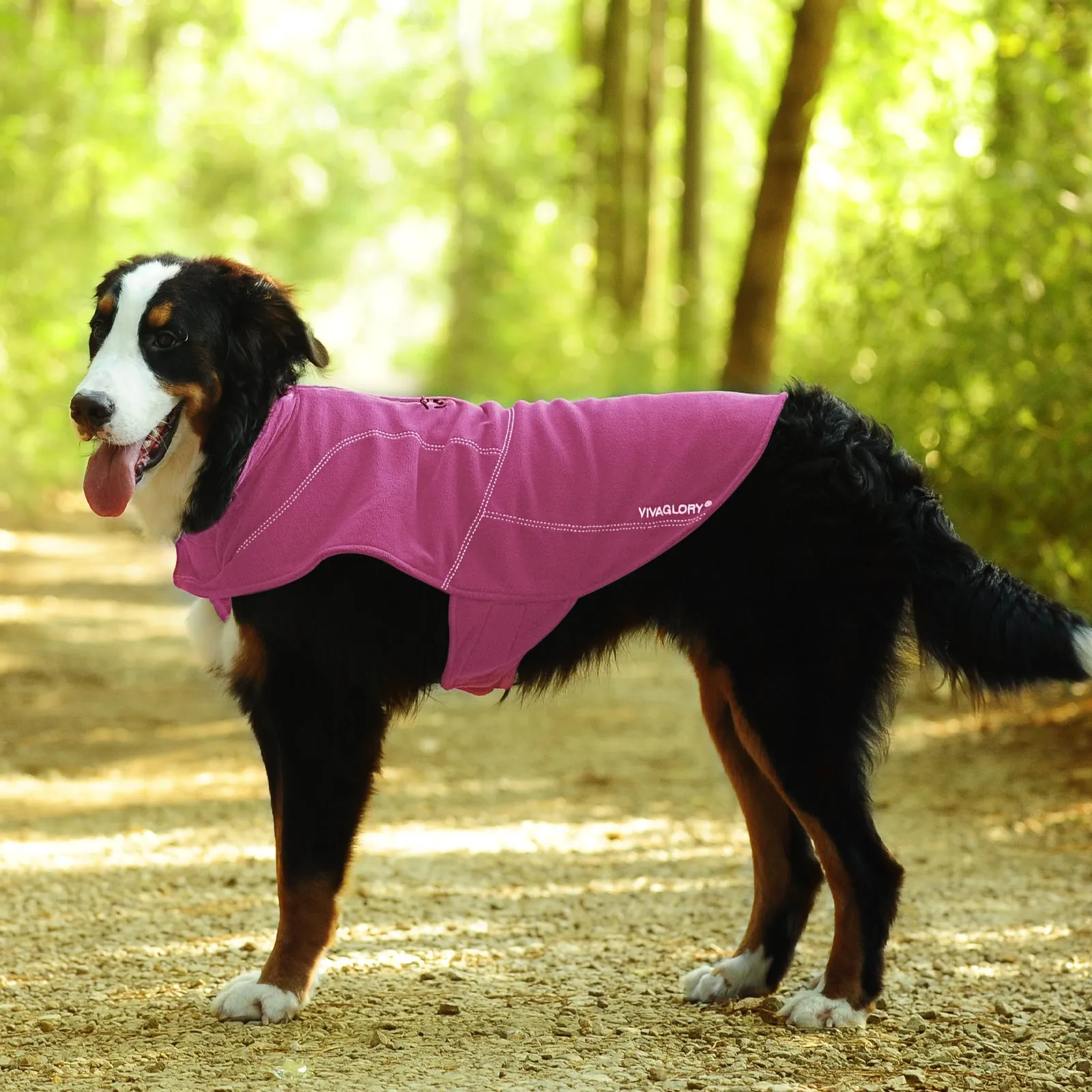 Vivaglory Fleece Vest Dog Cold Weather Sweater for Small Dogs, Adjustable Winter Warm Clothes with Two-Way Zipper Opening, Reflective Coats Pet Jacket for Puppies Small Medium Large Dogs