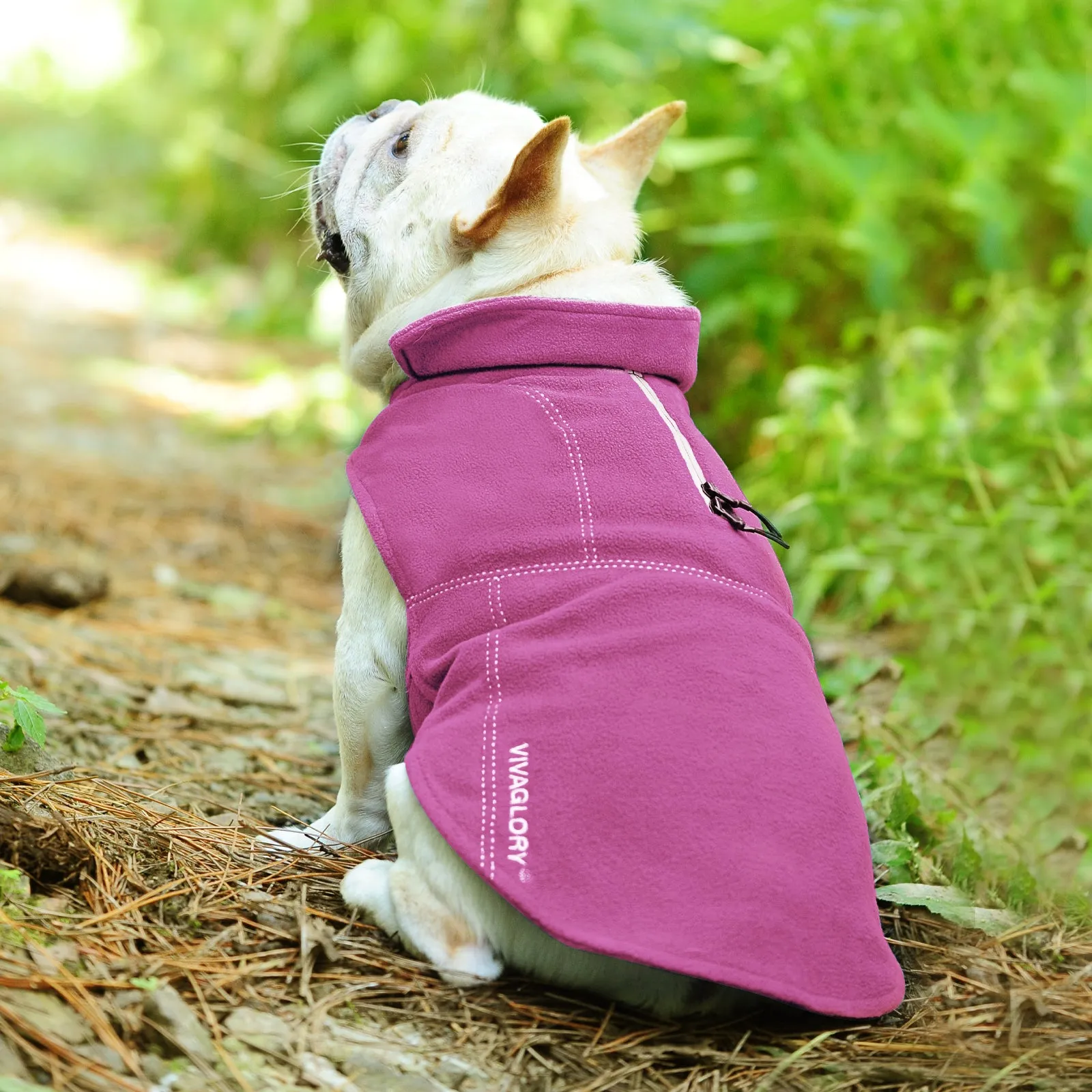 Vivaglory Fleece Vest Dog Cold Weather Sweater for Small Dogs, Adjustable Winter Warm Clothes with Two-Way Zipper Opening, Reflective Coats Pet Jacket for Puppies Small Medium Large Dogs