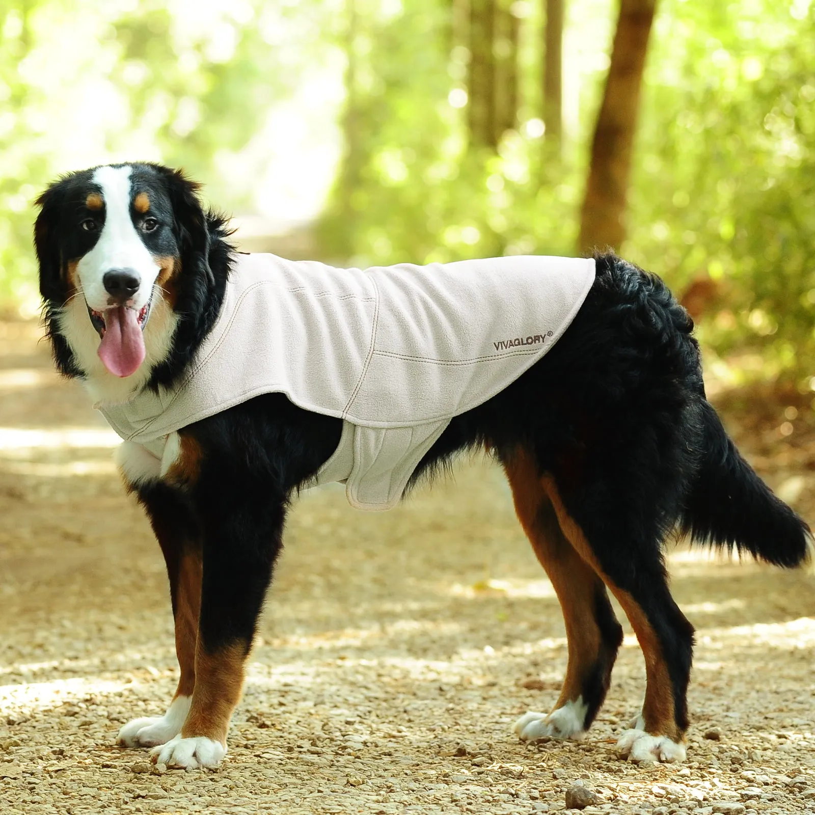Vivaglory Fleece Vest Dog Cold Weather Sweater for Small Dogs, Adjustable Winter Warm Clothes with Two-Way Zipper Opening, Reflective Coats Pet Jacket for Puppies Small Medium Large Dogs