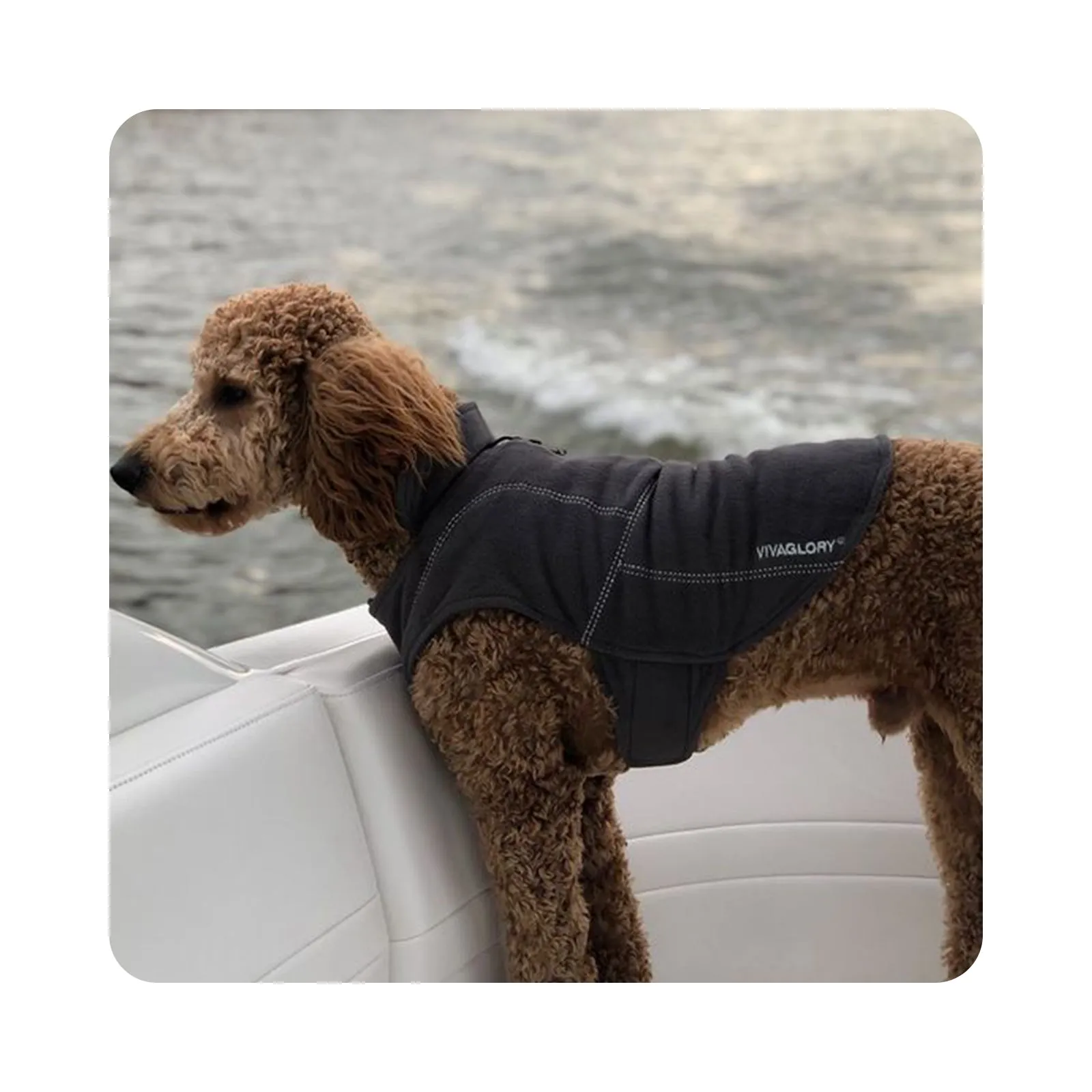 Vivaglory Fleece Vest Dog Cold Weather Sweater for Small Dogs, Adjustable Winter Warm Clothes with Two-Way Zipper Opening, Reflective Coats Pet Jacket for Puppies Small Medium Large Dogs