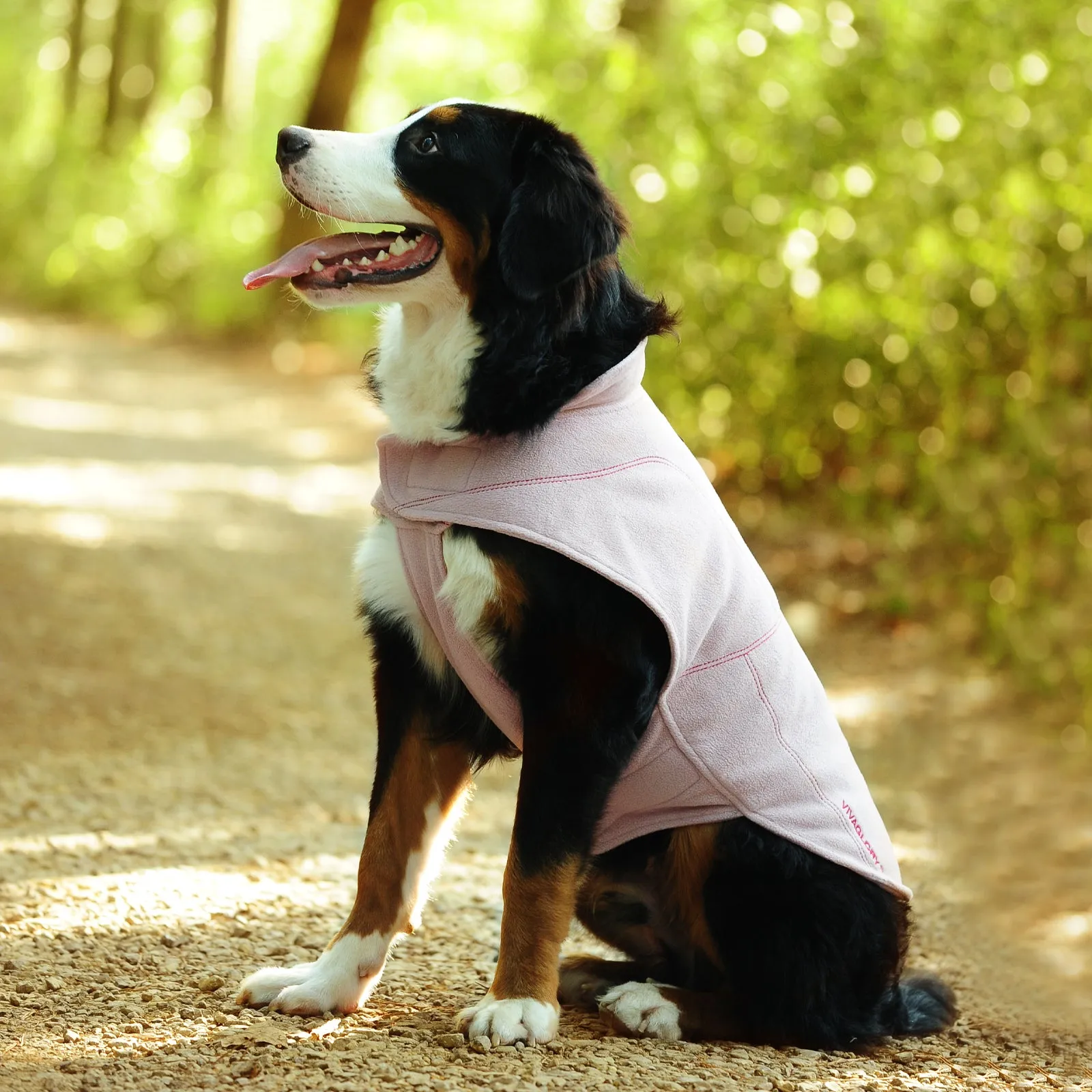 Vivaglory Fleece Vest Dog Cold Weather Sweater for Small Dogs, Adjustable Winter Warm Clothes with Two-Way Zipper Opening, Reflective Coats Pet Jacket for Puppies Small Medium Large Dogs