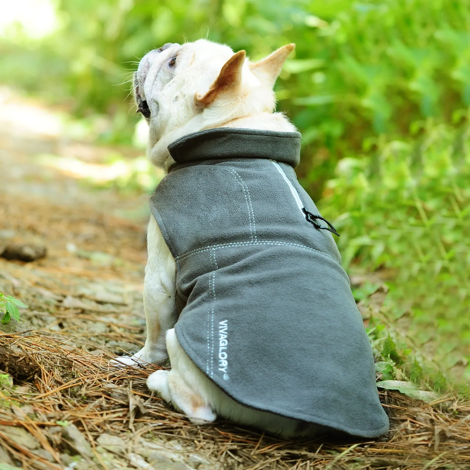 Vivaglory Fleece Vest Dog Cold Weather Sweater for Small Dogs, Adjustable Winter Warm Clothes with Two-Way Zipper Opening, Reflective Coats Pet Jacket for Puppies Small Medium Large Dogs